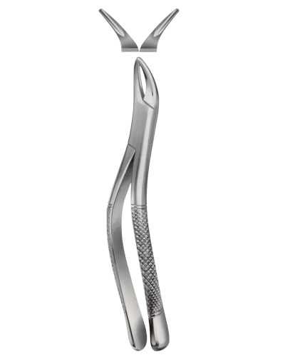 Tooth Forceps, American Pattern for upper roots & Bicuspids